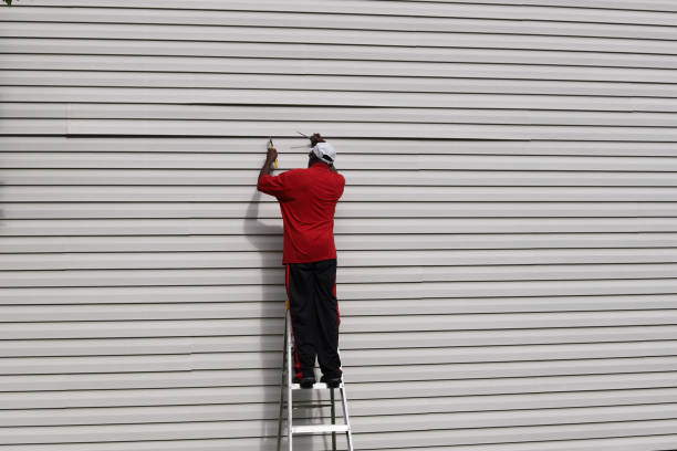 Best Aluminum Siding Installation  in Mountain City, GA